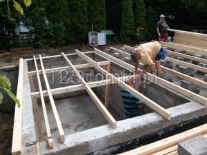 Domek drewniany letniskowy buda